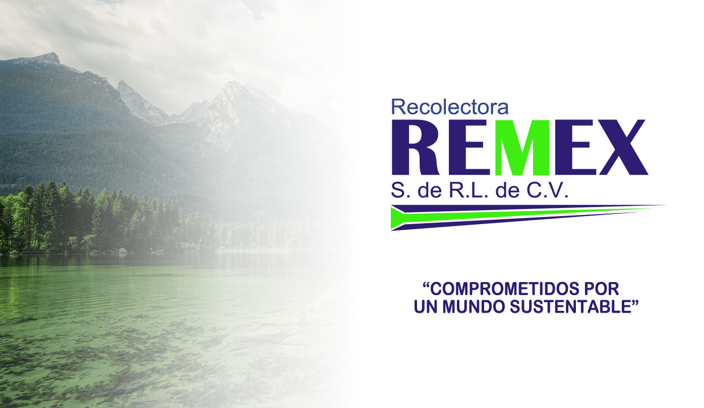 REMEX